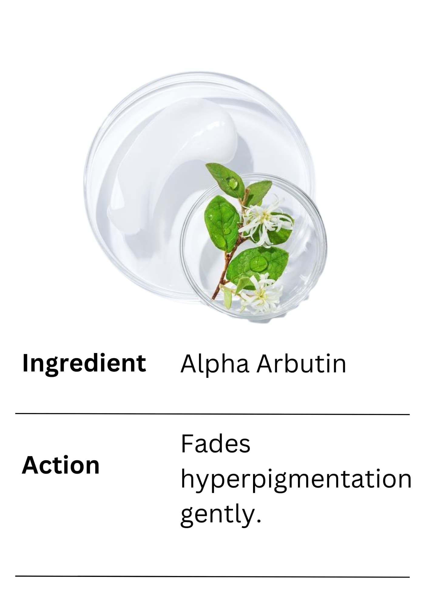 Kojic Acid gel in a petri dish: lightens pigmentation and evens skin tone